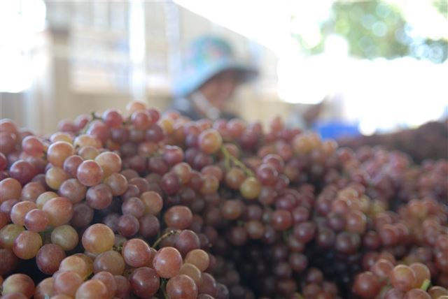 Cho thuê tài chính - đòn bẩy vốn mới cho phát triển kinh tế tư nhân